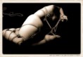 /album/beaute1/a527495-293516944097292-647645958-n-jpg1/