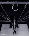 /album/art1/pb064741-jpg1/