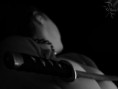 /album/art1/shadowgeisha2-jpg/