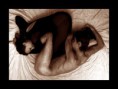 /album/push-/test4-jpg/